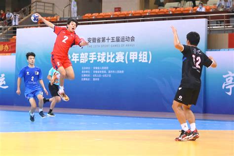 省十五运青少年部手球项目甲组比赛落幕_滁州市教育体育局