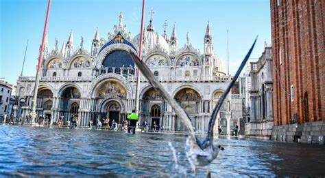 威尼斯告急！半世纪来最大水灾，大教堂被淹，双年展中断… | 建筑学院