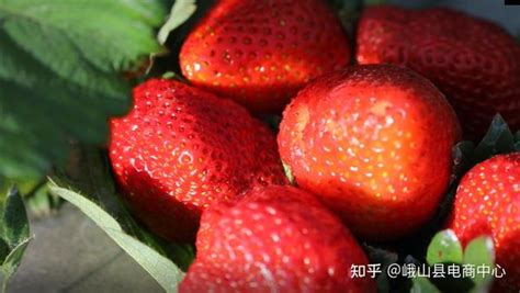 武汉热门草莓采摘地大集合！赶紧安排起来~|武汉_新浪新闻