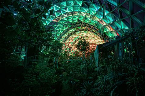 Cina: il Chenshan Botanic Garden di Shanghai visto dall