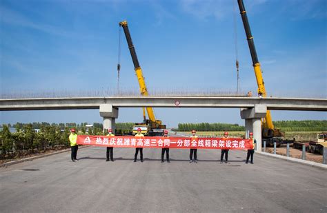 市政基础设施“三路两桥”建设项目 - 重点项目 - 甘肃（天水）国际陆港