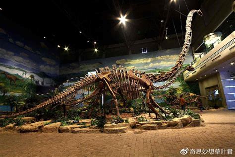 这种恐龙曾在侏罗纪公园出现过，科学家如今发现它其实不堪一击_百科知识_恐龙网，恐龙大百科大全，恐龙科普科学百科_自贡仿真硅胶电动机械模型机模动雕美陈道具工厂