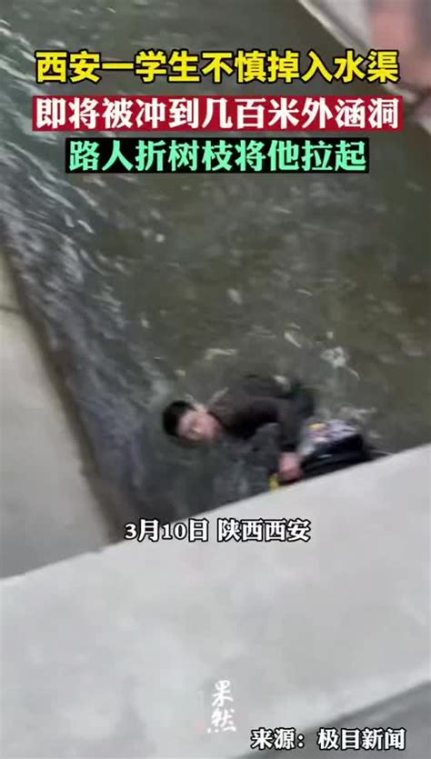 西安学生不慎掉入水渠即将冲到几百米外涵洞，路人折树枝将他拉起|西安市_新浪新闻