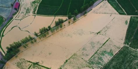 梧州岑溪发生一起临时石浆池塌方事件，周边部分农田被淹_凤凰网视频_凤凰网