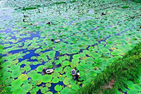 水环境治理形成优质水域生态_图片新闻_河南省人民政府门户网站
