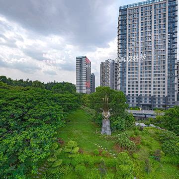 今天考查了平湖几个项目_家在平湖 - 家在深圳