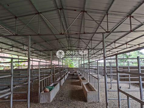 HC021#1500平方米小型养殖场整体对外出租-农村土地网