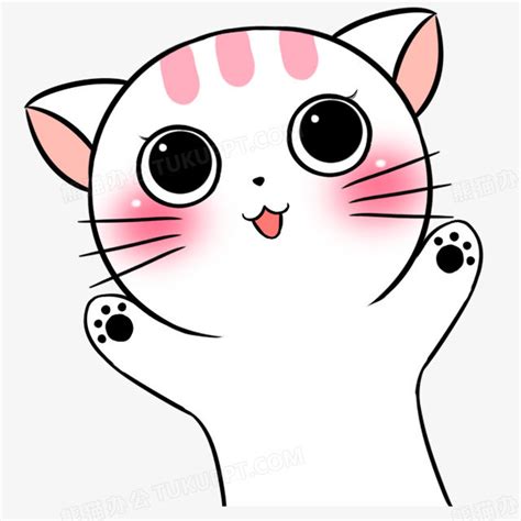 猫咪动漫图片