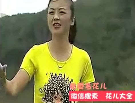 青海花儿：柔情花儿把心牵—王秀_腾讯视频
