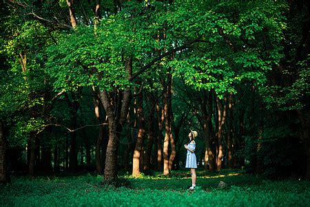 儿童玩的女孩离开在夏天的森林与孩子的自然图片-包图网企业站