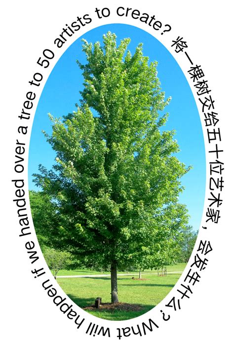 团区委开展“认领一棵树，共建绿色城”主题活动_滁州市南谯区人民政府