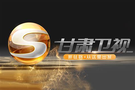 甘肃卫视台标志logo图片-诗宸标志设计