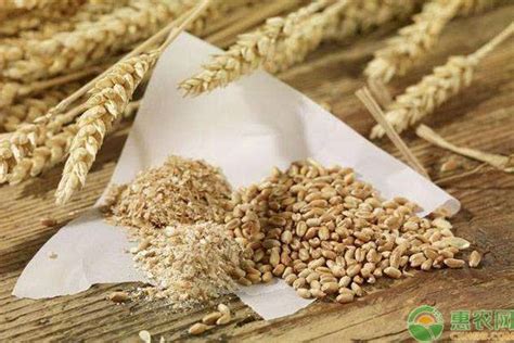 麦麸的功效与作用,常吃麦麸的五大好处-养生保健 - 货品源货源网
