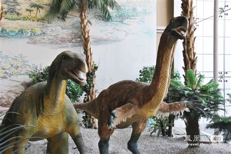 想看真正的恐龙去哪里 探恐龙化石埋藏地_旅游频道_凤凰网