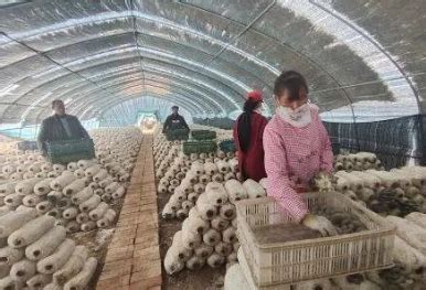 陕西省铜川市市场监管局保障十四运会和残特奥会食品安全在行动-中国质量新闻网