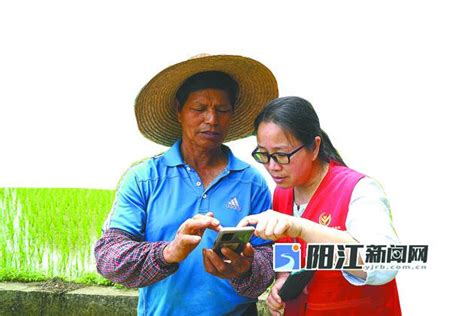 农业生产托管的“阳春经验”_阳江新闻_阳江新闻网