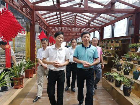 省林业局调研龙南县国家林业重点龙头企业 | 赣州市政府信息公开