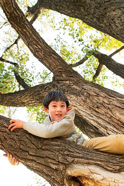 趴在树上的快乐男孩高清图片下载-正版图片507681603-摄图网