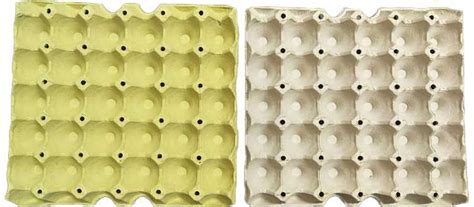 蛋托--河北海川纸浆模塑制造有限公司