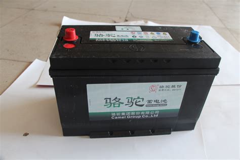 骆驼蓄电池免维护铅酸蓄电池 95D31R免维护型蓄电池12v80ah蓄电池-阿里巴巴