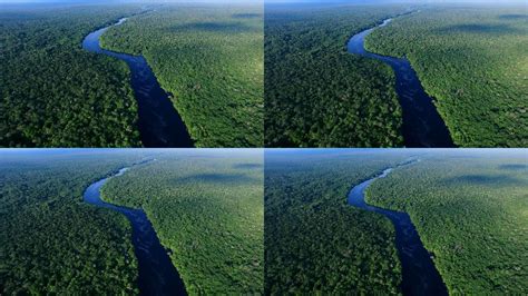 亚马逊雨林鸟瞰图航拍雨林植被环境保护生态_视频素材下载_编号:5710105_光厂(VJ师网) www.vjshi.com