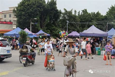 沙岗墟迎春花市将于明年1月12日开门迎客_南方plus_南方+