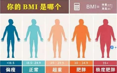 使用Python计算BMI指数并判断健康级别 - 知乎