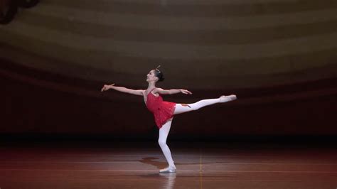 中国舞蹈家协会少儿舞蹈考级4级小书童_腾讯视频