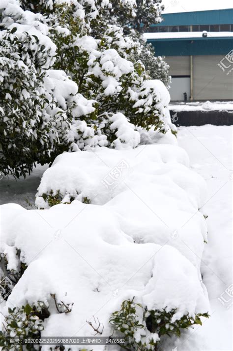 厚厚的雪装扮着树枝,厚厚的雪,厚厚的积雪_大山谷图库