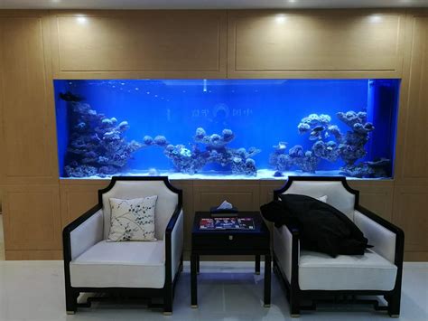 海水鱼缸定制-上海艺海园景观工程有限公司