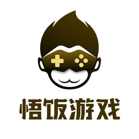 洪玉 - 嘉兴游辰网络科技有限公司 - 法定代表人/高管/股东 - 爱企查