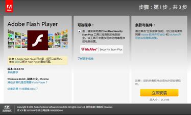 flash player 11.3版下载-adobe flash player 11.3官方版v11.3.300 正式版 - 极光下载站