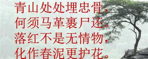 开屏新闻-最闪亮的坐标丨青山埋忠骨 北京烈士陵园守墓人：“他们没有后人，但有我们”