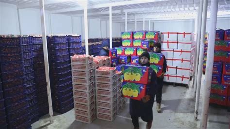 2021年中国水果罐头行业出口现状及区域市场格局分析 2020年出口量突破50万吨_研究报告 - 前瞻产业研究院