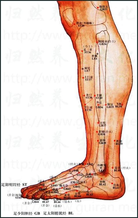 手臂6条经络高清对应图_39健康网