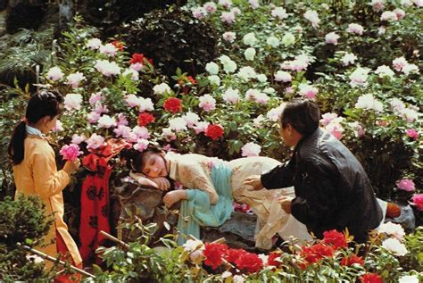 电视剧红楼梦（1987）人物的照片-1987版红楼梦主角的资料