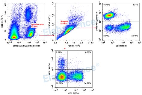 HMC3 人小胶质细胞-原代细胞-STR细胞-细胞培养基-赛百慷生物