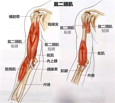 TROTT 的图像结果