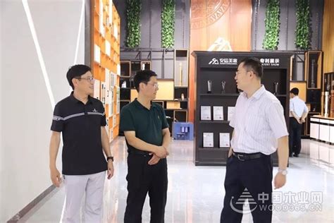 临沂市政府领导到探沂安信美家开展调研活动 - 行业数据 - 木业快报