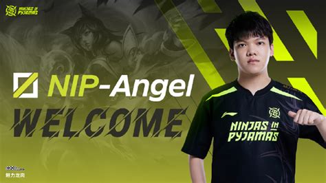 深圳NIP战队官宣LPL夏季赛大名单：前RNG中单Angel加盟！_大电竞