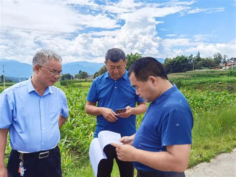 威海市人民政府 最新进展来了 巩固改造农网设施 保障农村用电安全稳定