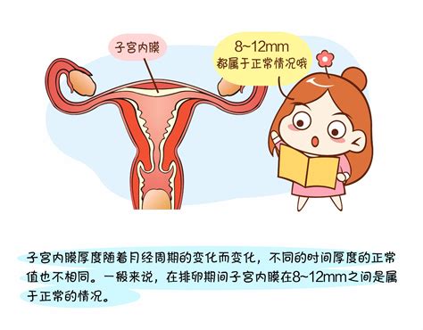 图解子宫内膜多厚算正常呢？