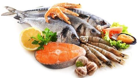 淡水鱼类对蛋白质和氨基酸的营养需求 - 农村致富网