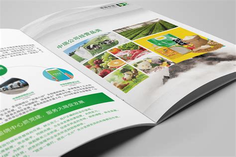 2018互联网加有机农业农副产品推广商业计划书PPT模板 - 彩虹办公