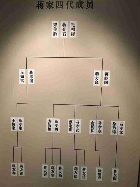 家庭关系树状图四代,图树状图,家庭成员图卡通(第8页)_大山谷图库