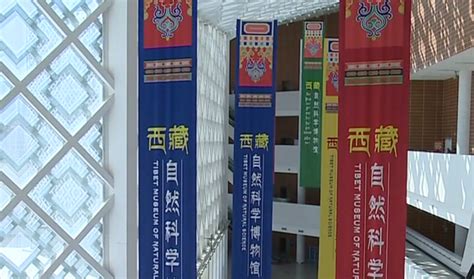 宝“藏”故事丨高质量转型，西藏数字经济蓬勃发展_国内_新闻频道_云南网