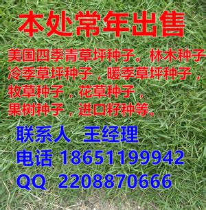 莱州"袁隆平"育超级玉米 曾为灾区捐300万_要闻_资讯_种业商务网