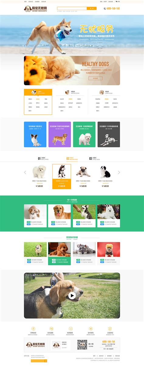hello doggy 宠物电商网站|网页|电商|Castiel93 - 原创作品 - 站酷 (ZCOOL)