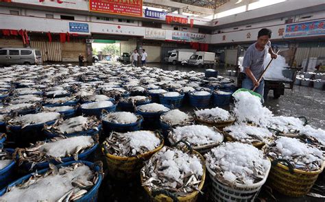 实拍！华南最大水产市场已无在售日本进口水产品_澎湃号·媒体_澎湃新闻-The Paper