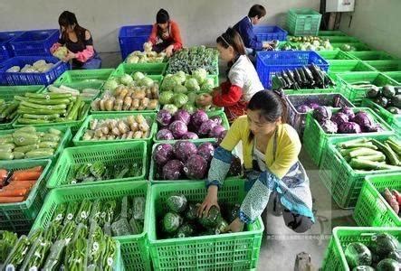 学校“面向采购”农产品直供基地蔬菜配送到食堂-新闻网
